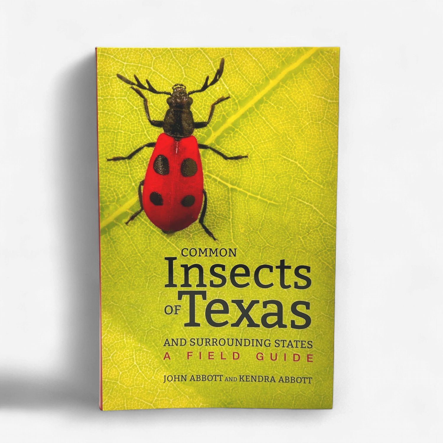 Common Insects of TX (Abbot)