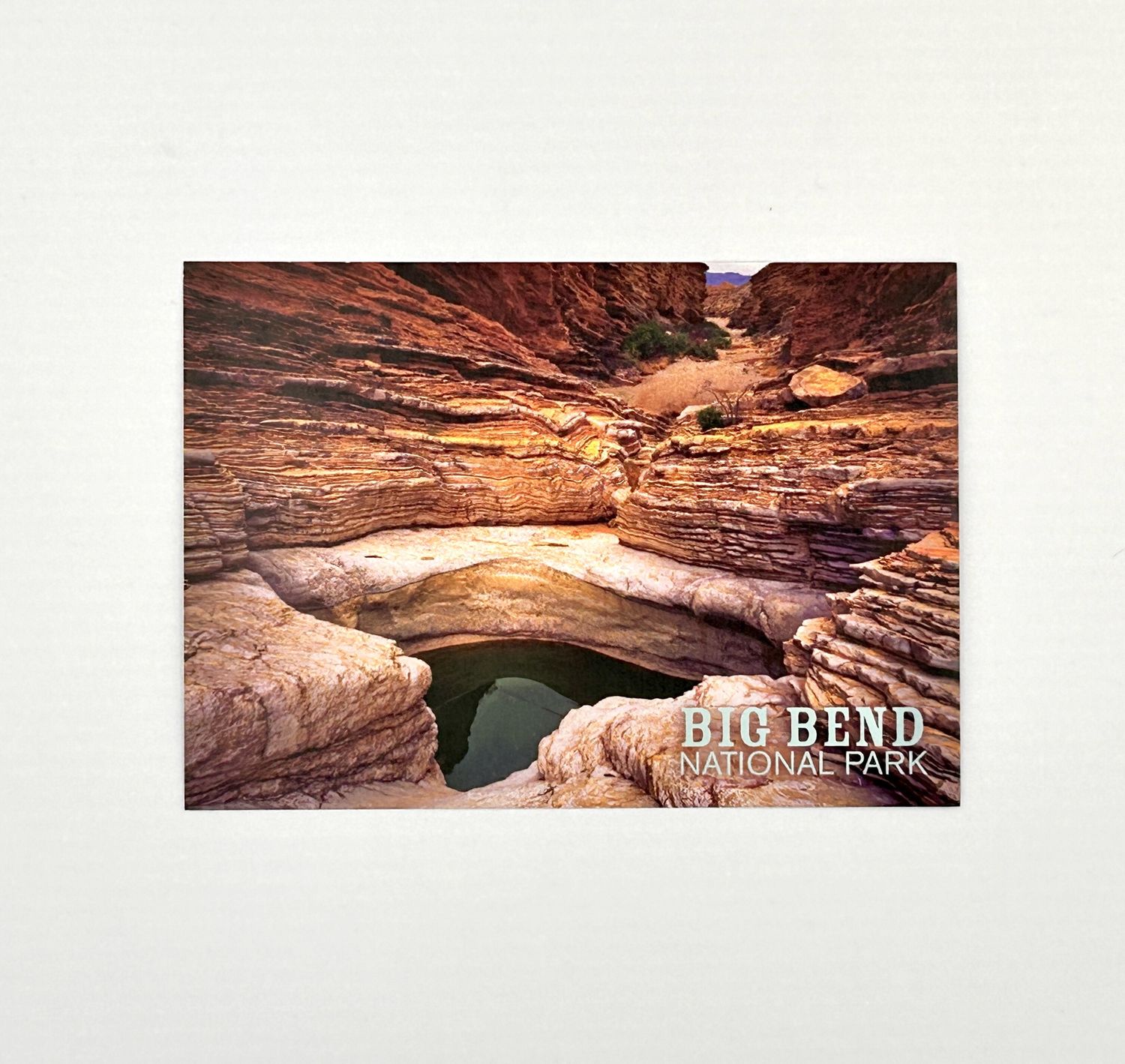 Photo postcard Ernst Tinaja 45574