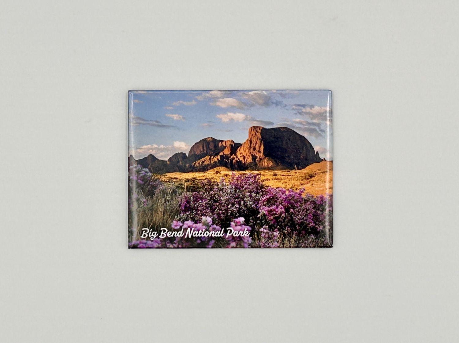 Badge Magnet Big Bend Spring