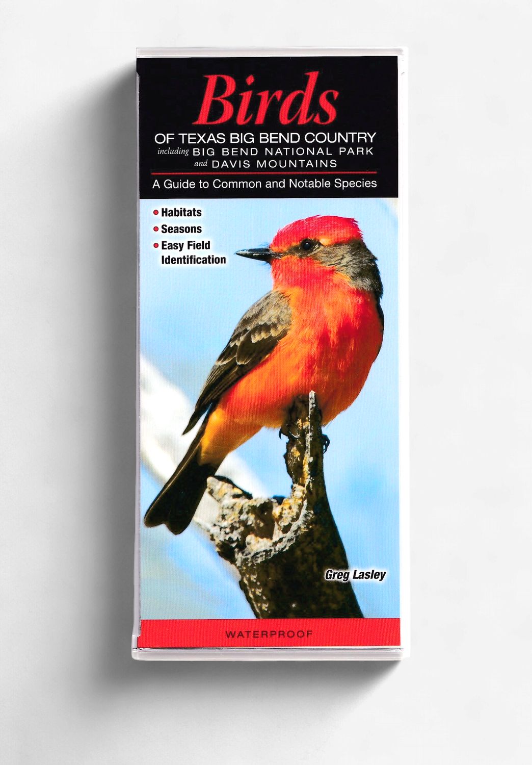 Laminated Guide - Birds of Big Bend