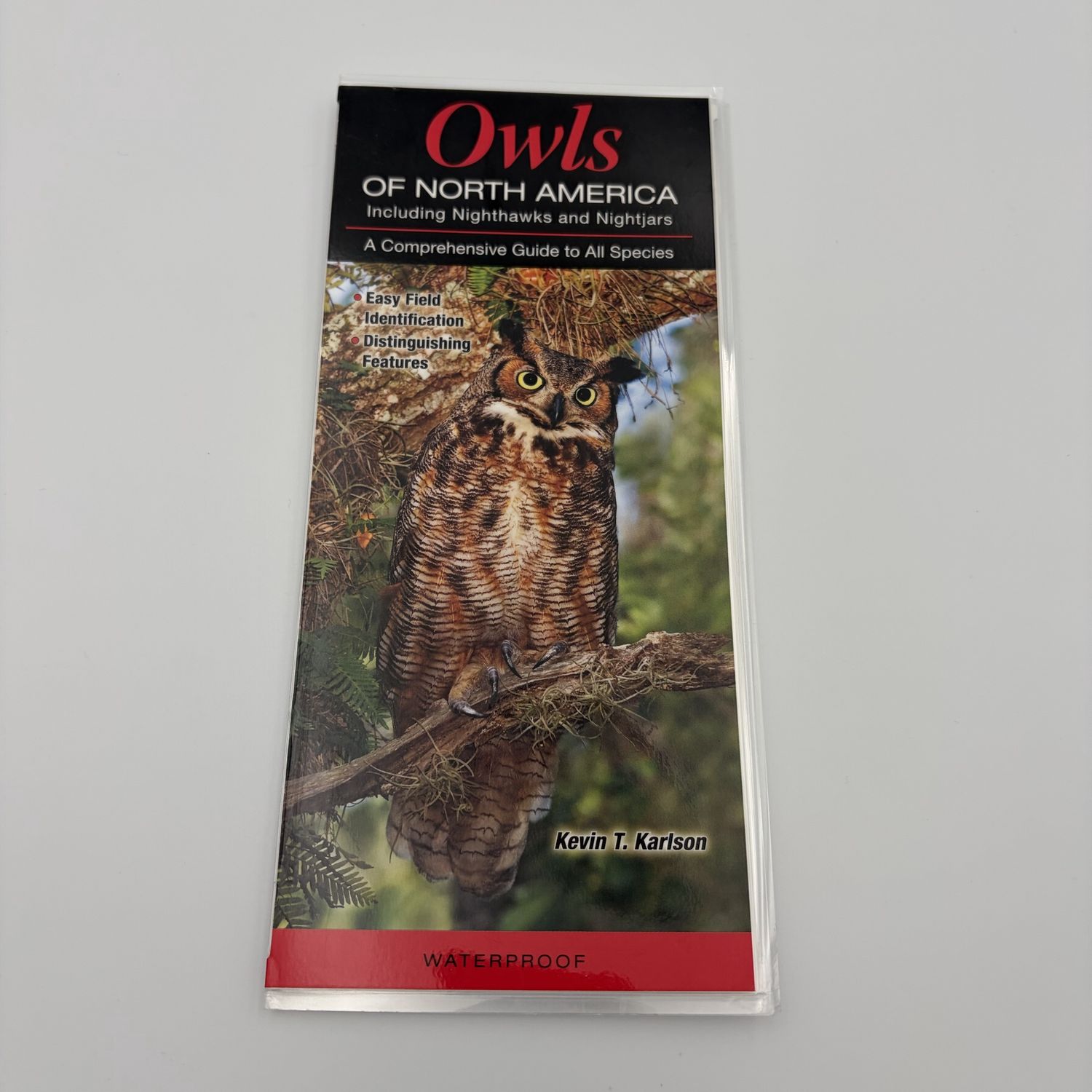 Laminated Guide - Owls, Nighthawks, and Nightjars