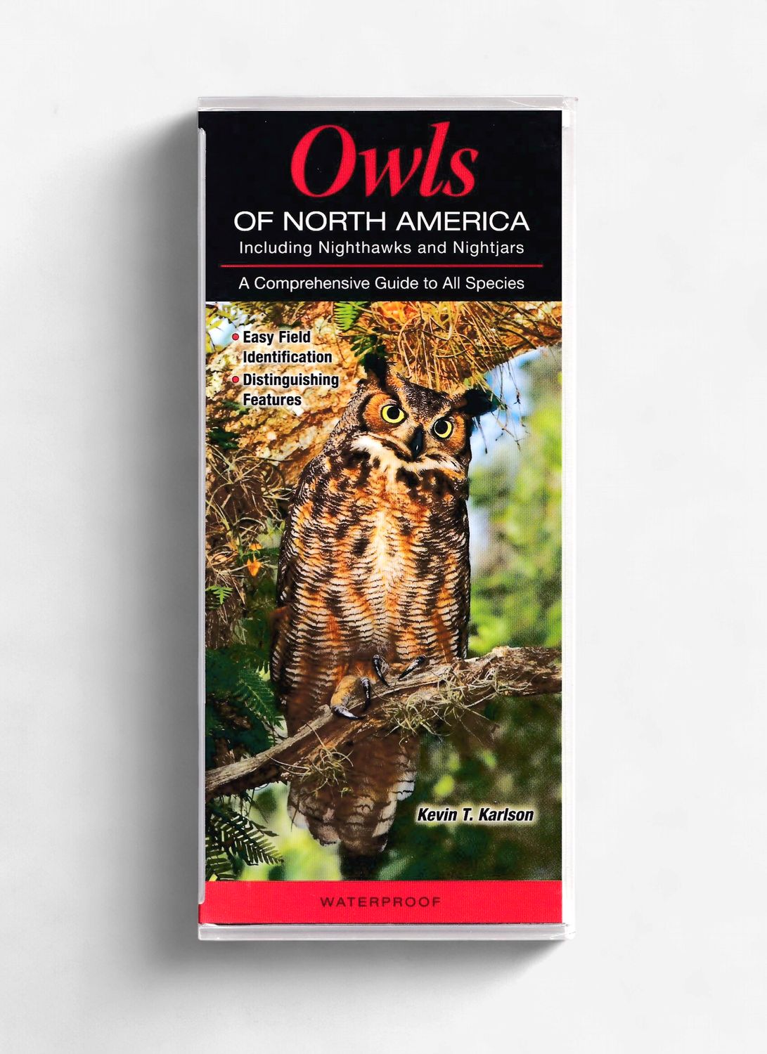 Laminated Guide - Owls, Nighthawks, and Nightjars