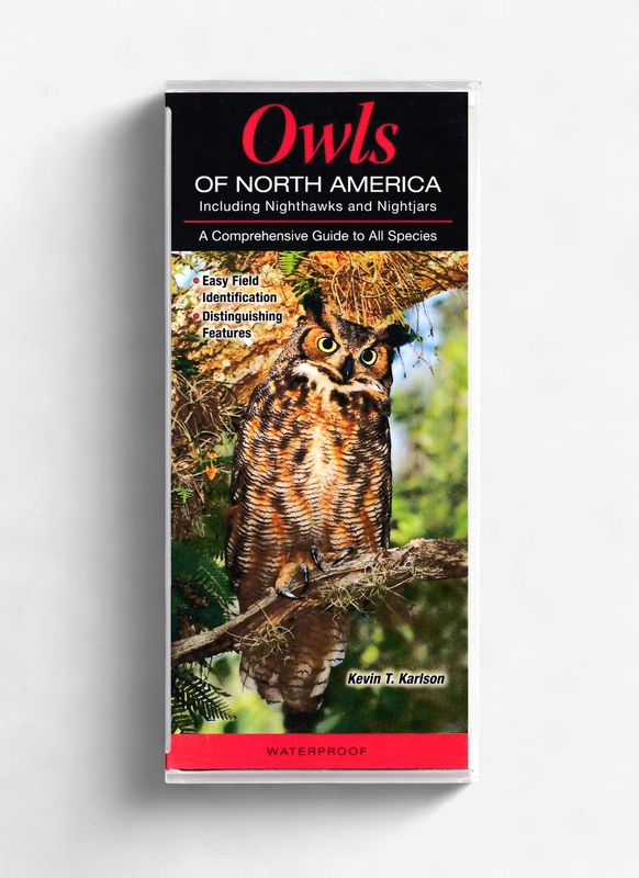Laminated Guide - Owls, Nighthawks, and Nightjars