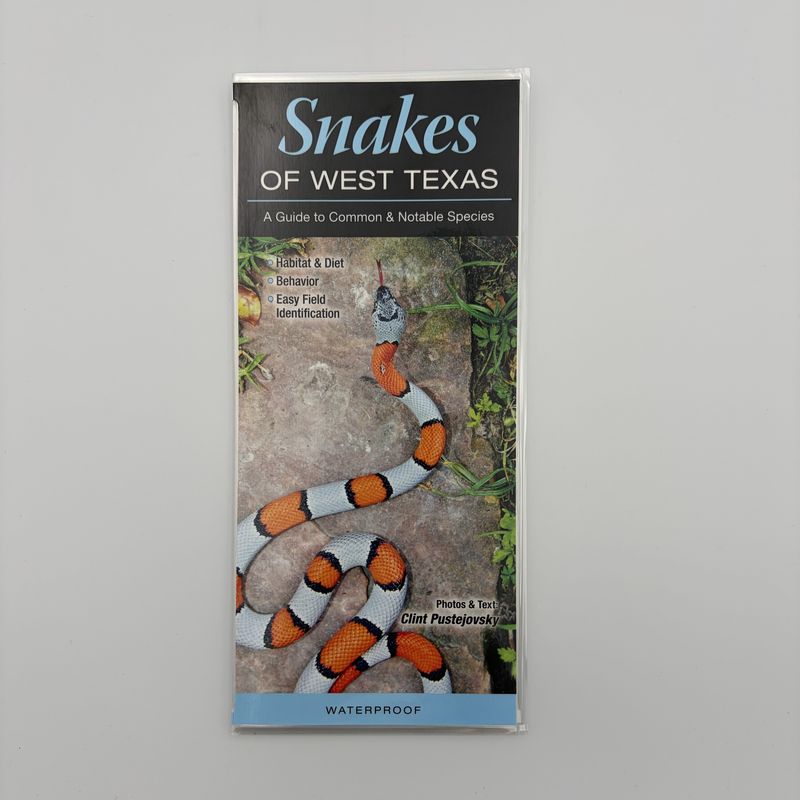 Laminated Guide - Snakes of West Texas