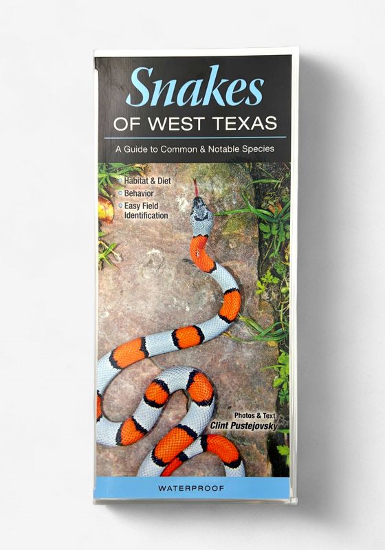 Laminated Guide - Snakes of West Texas