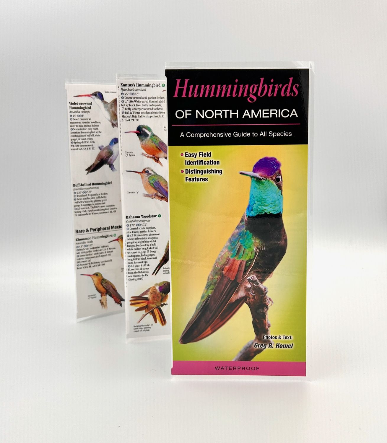 Laminated Guide - Hummingbirds of North America