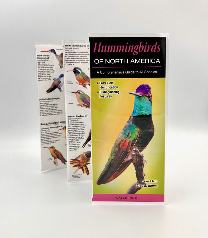 Laminated Guide - Hummingbirds of North America