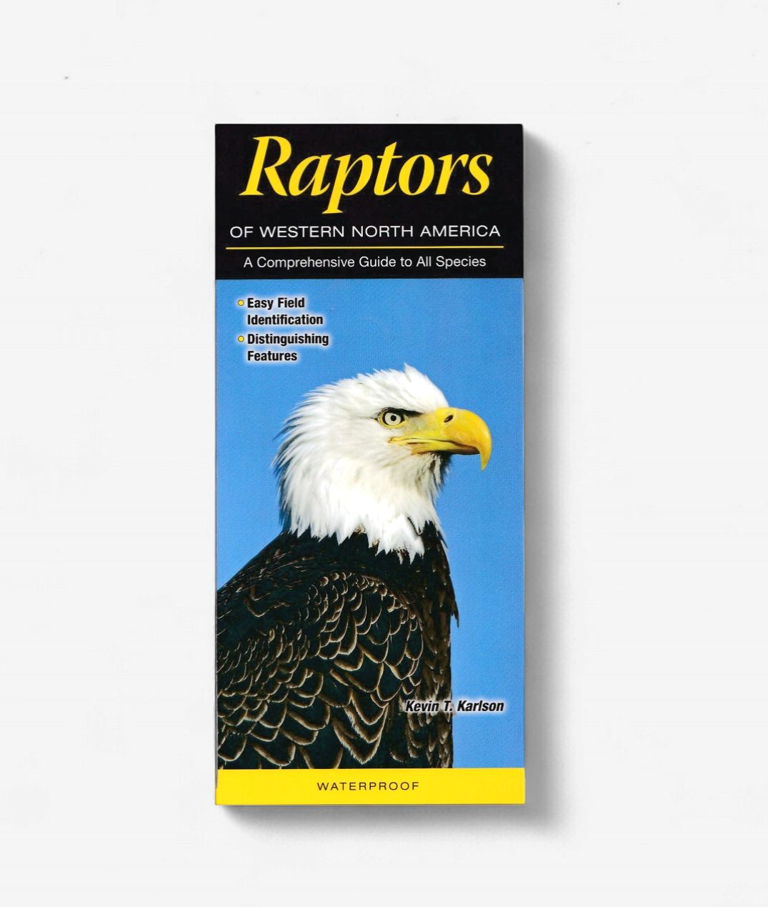 Laminated Guide - Raptors of Western N. America