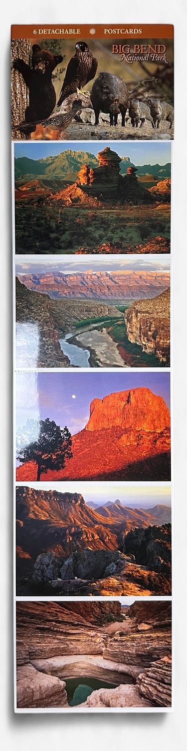 Strips Big Bend scenes _3-Animals