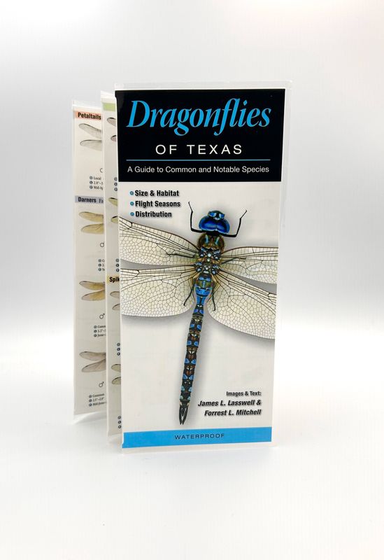 Laminated Guide - Dragonflies of Texas