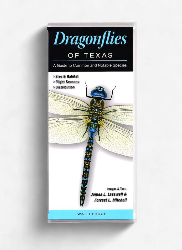 Laminated Guide - Dragonflies of Texas