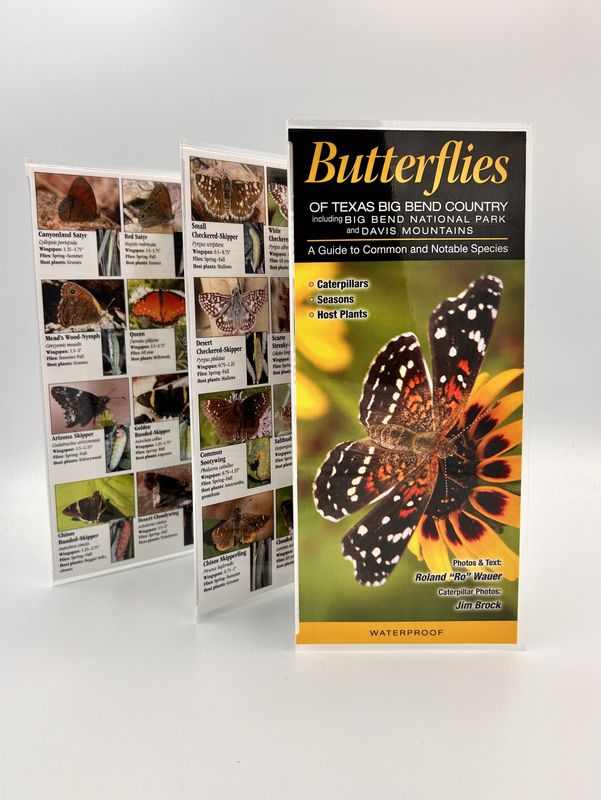 Laminated Guide - Butterflies of Big Bend