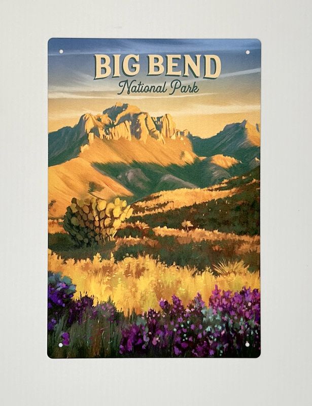 Summer Chisos 6x9 Metal Sign