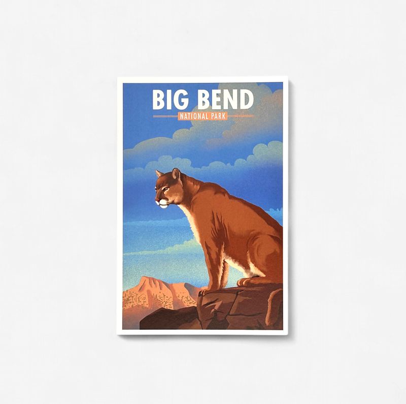 Illustrated Postcard Mountain Lion