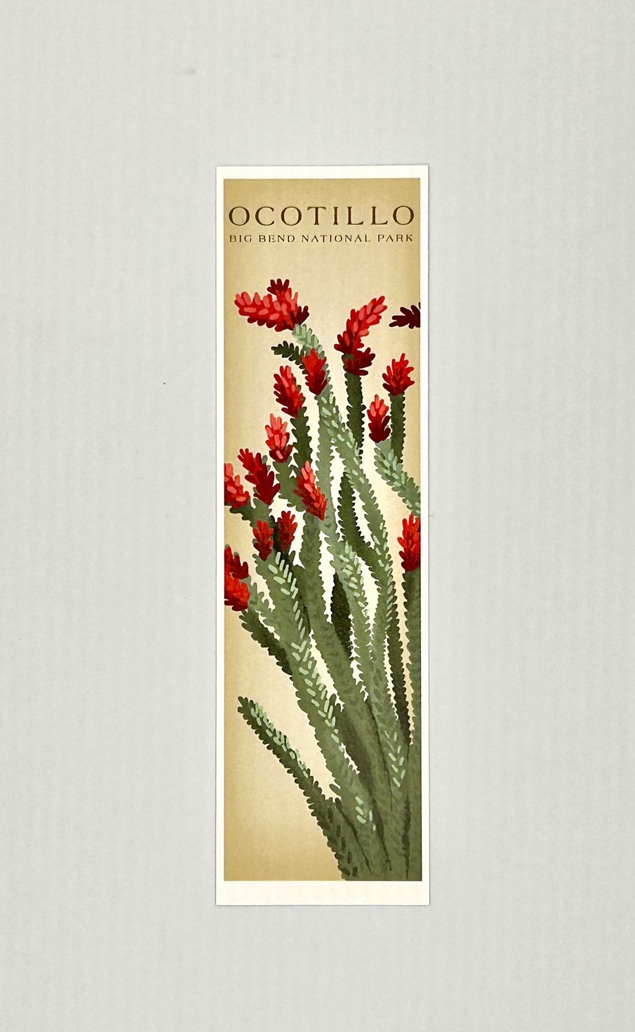 Paper Bookmark Ocotillo Vintage Big Bend Paper Bookmark Ocotillo Vintage Big Bend