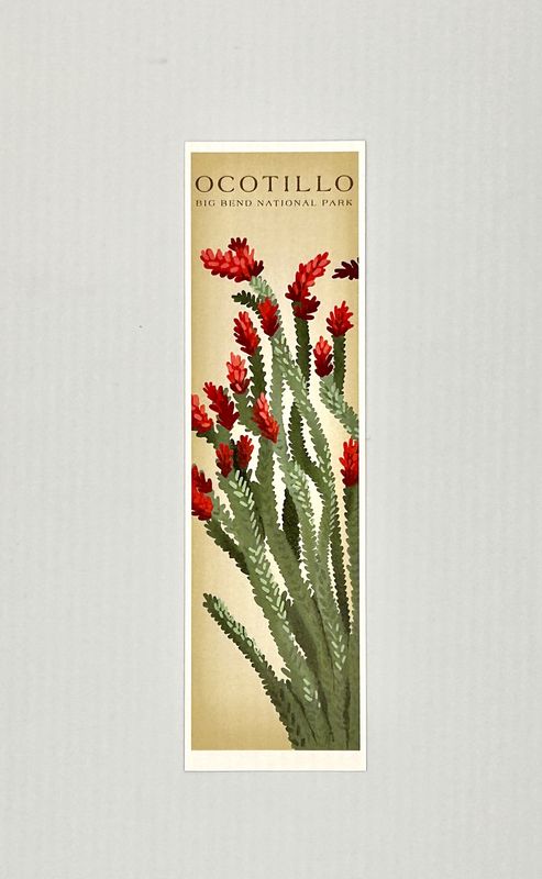 Paper Bookmark Ocotillo Vintage Big Bend