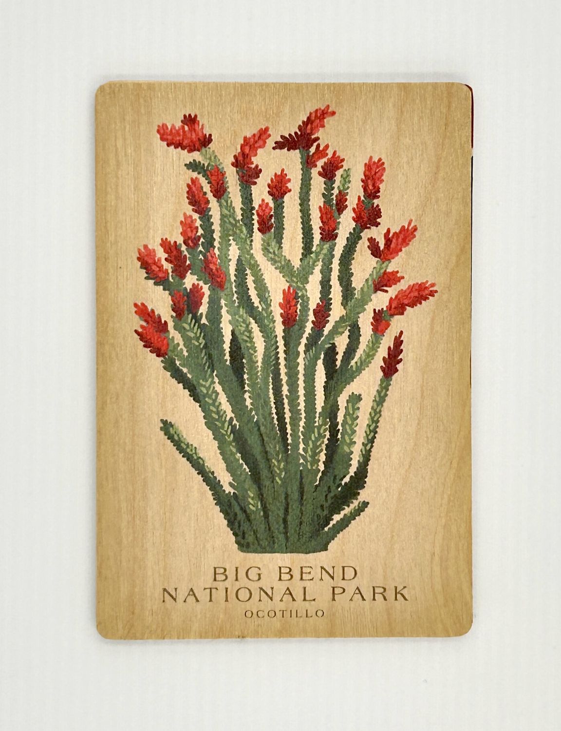 Wood Postcard Ocotillo Vintage Big Bend