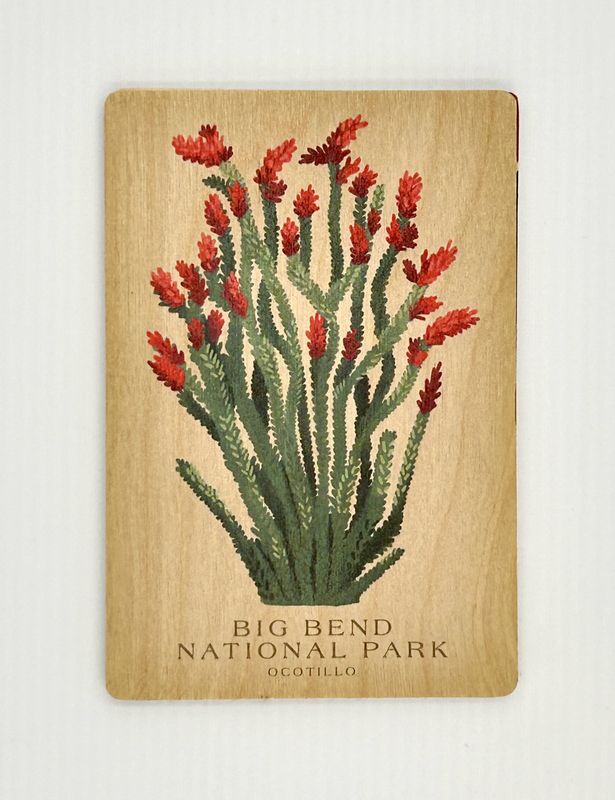 Wood Postcard Ocotillo Vintage Big Bend