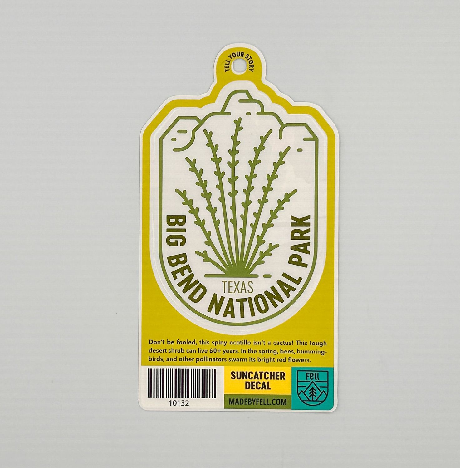 Ocotillo Sun Catcher Ocotillo Sun Catcher