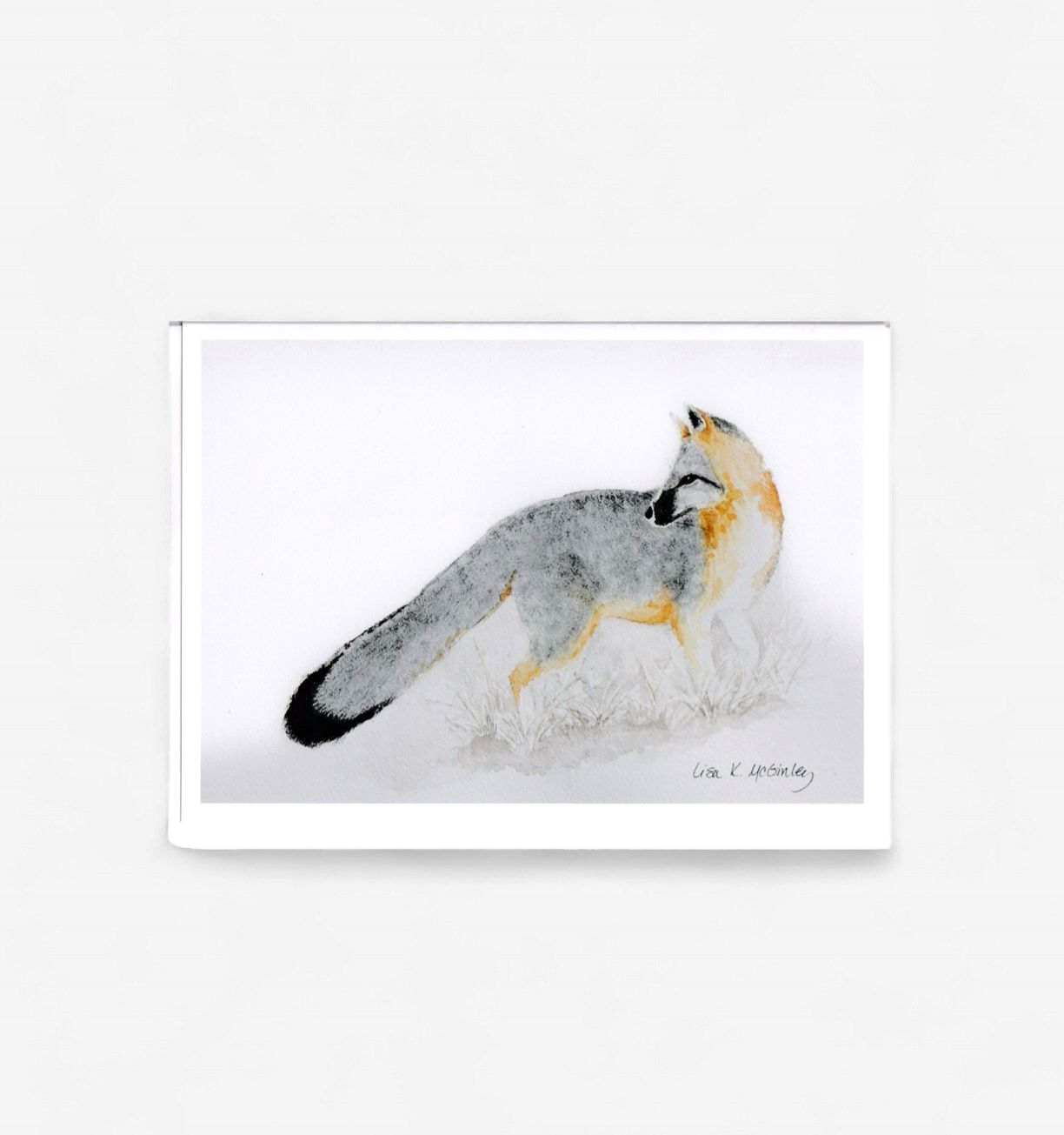 Notecard Grey Fox