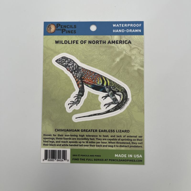 Sticker Earless Lizard