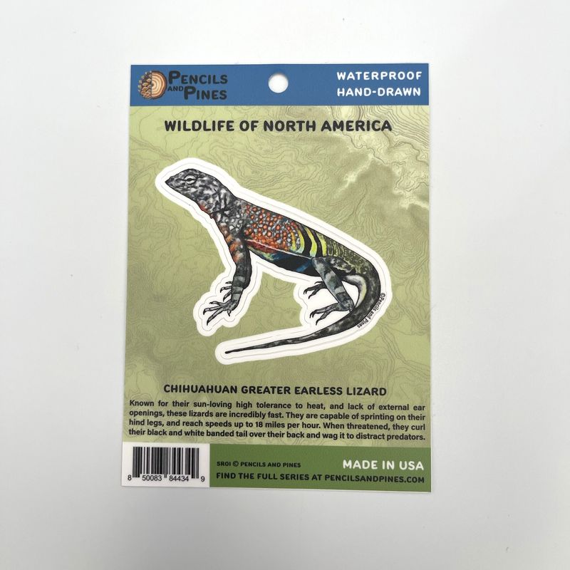 Sticker Earless Lizard