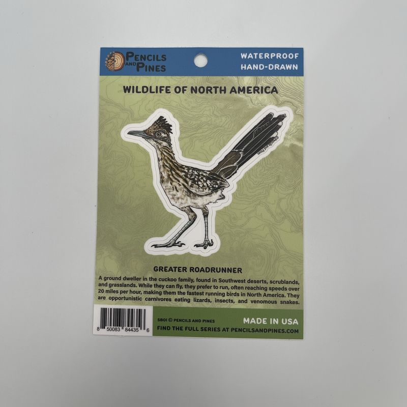 Sticker Greater Roadrunner