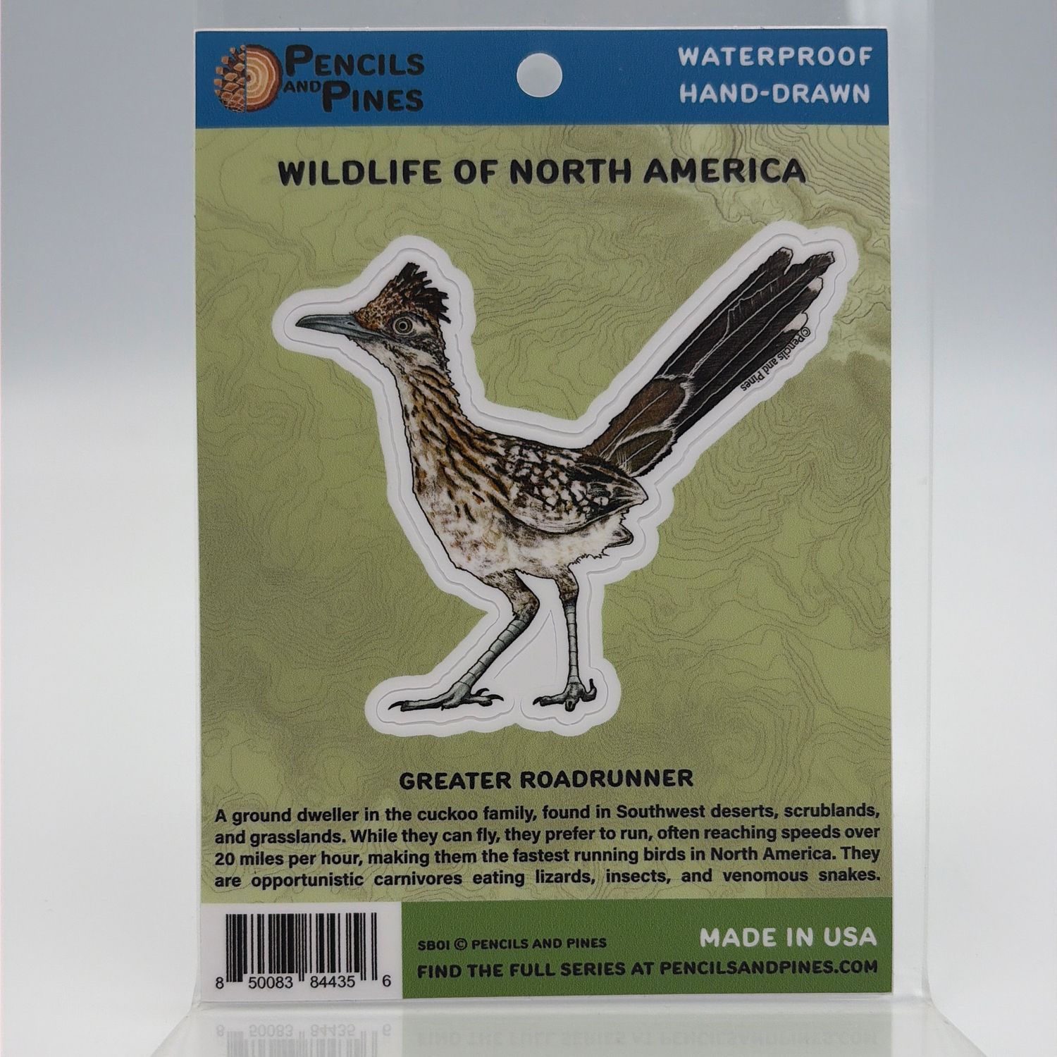 Sticker Greater Roadrunner
