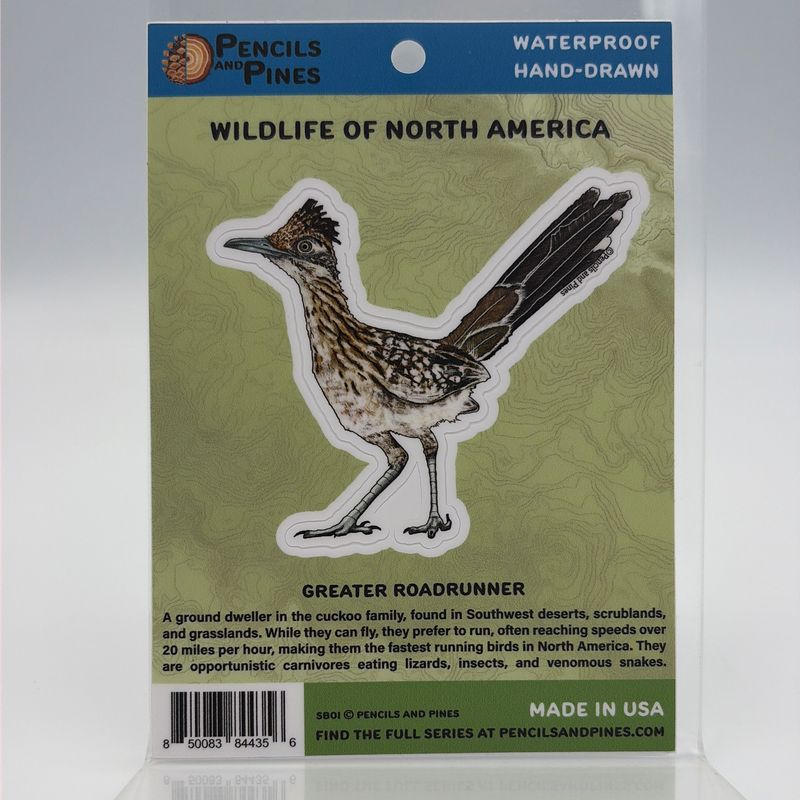 Sticker Greater Roadrunner