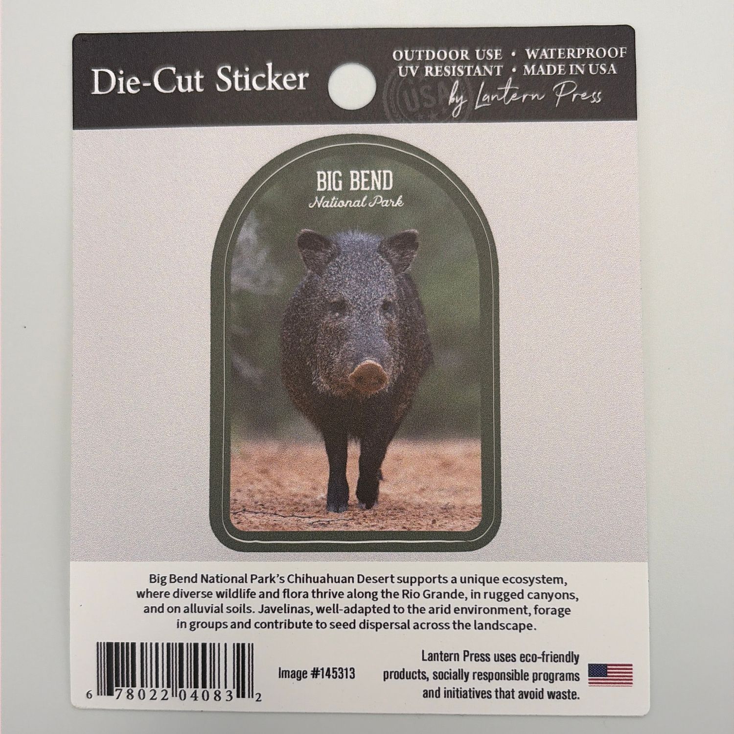 Javelina Photo Sticker