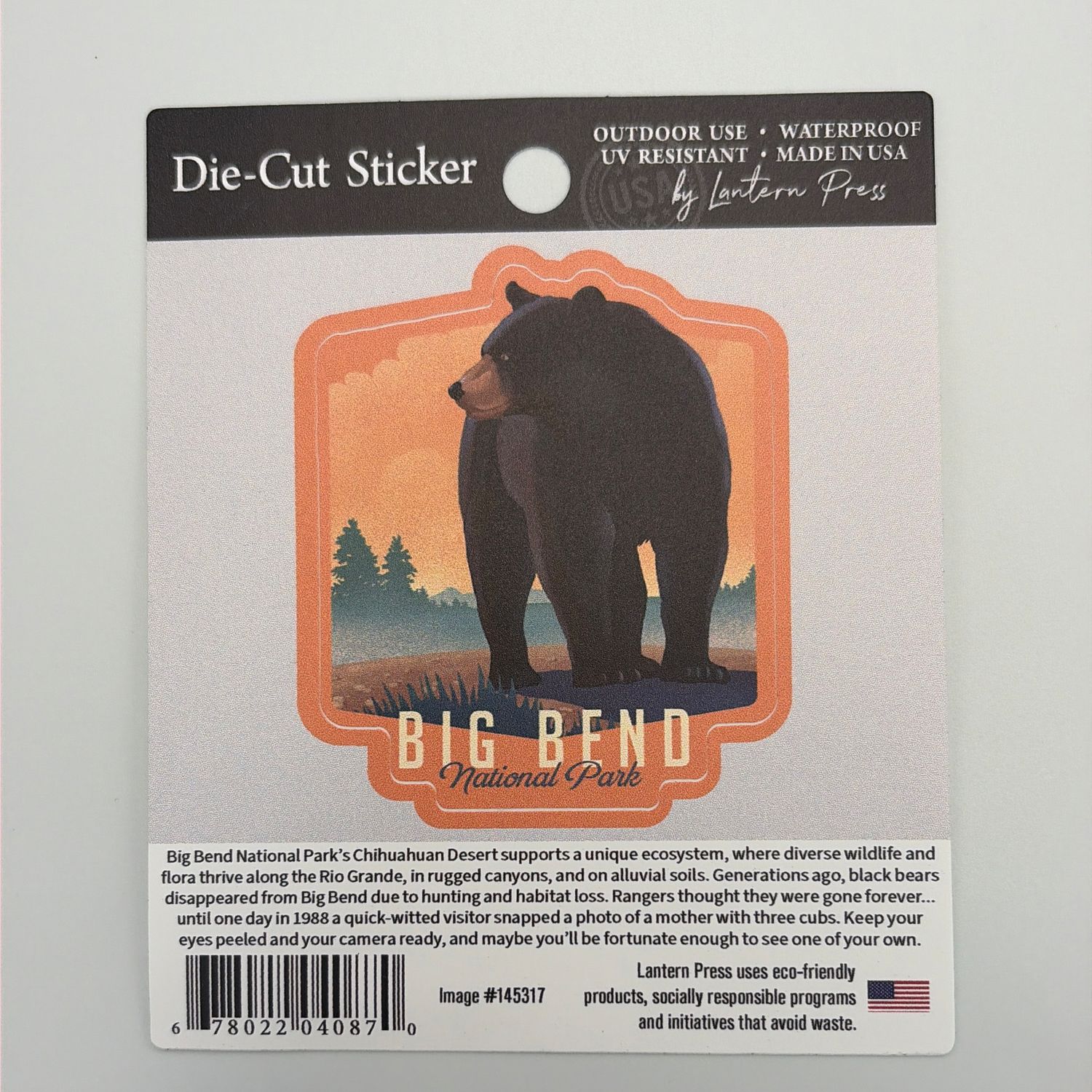 Bear Graphic Sticker Bear Graphic Sticker