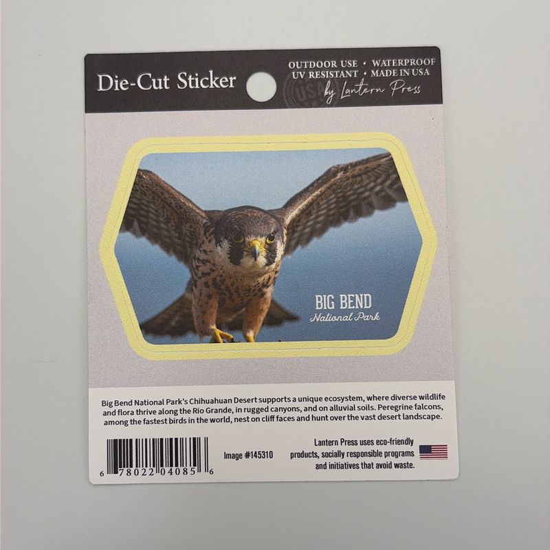 Peregrine Photo Sticker