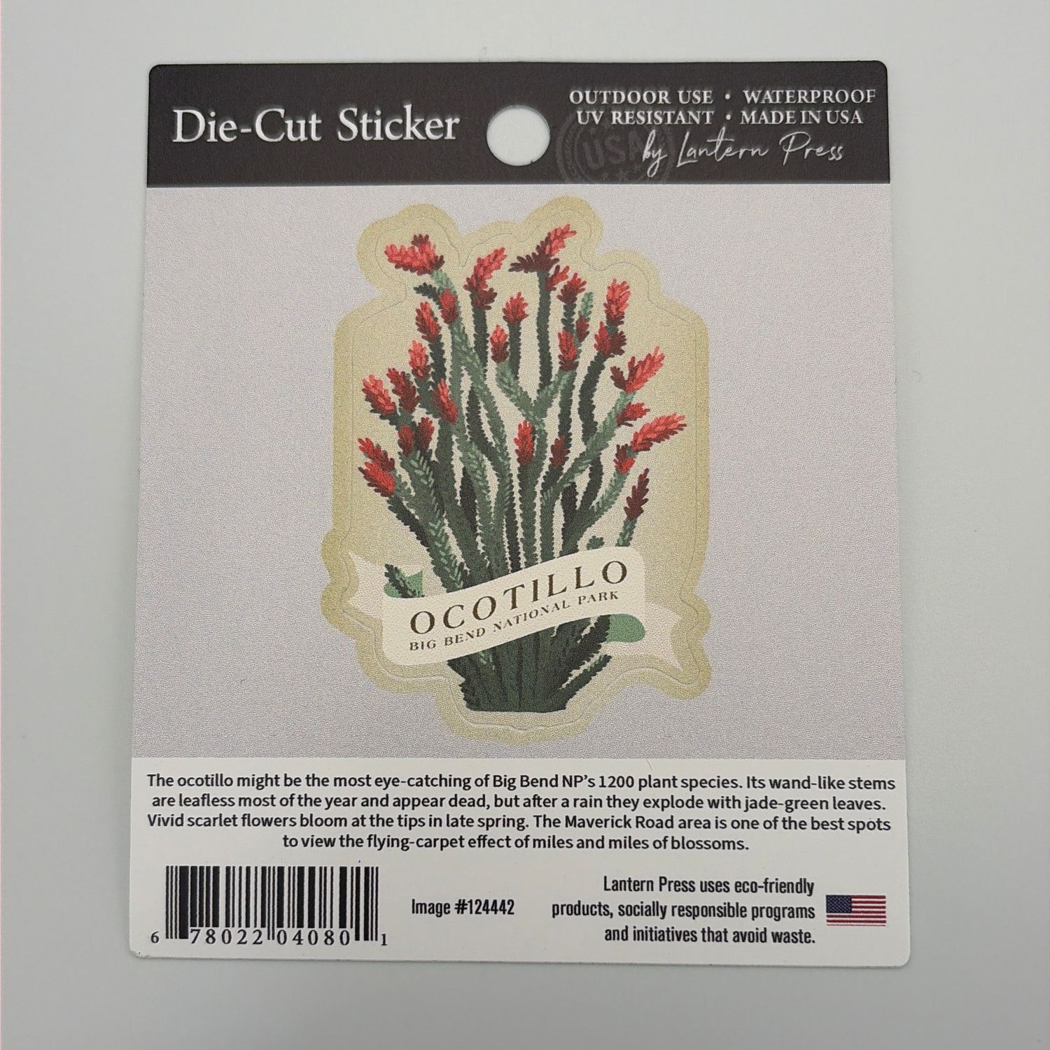 Ocotillo Graphic Sticker