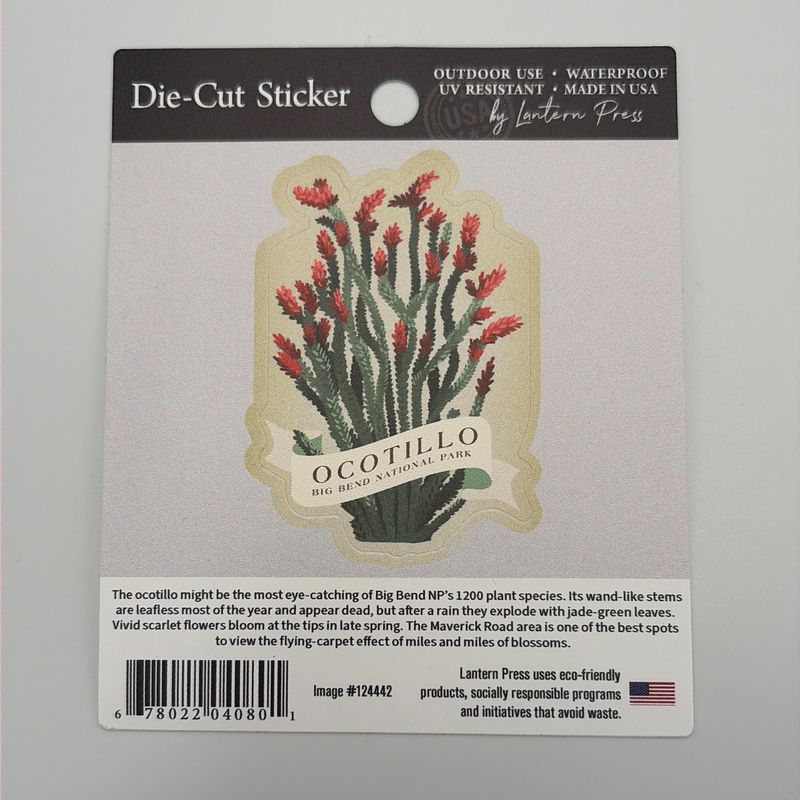 Ocotillo Graphic Sticker
