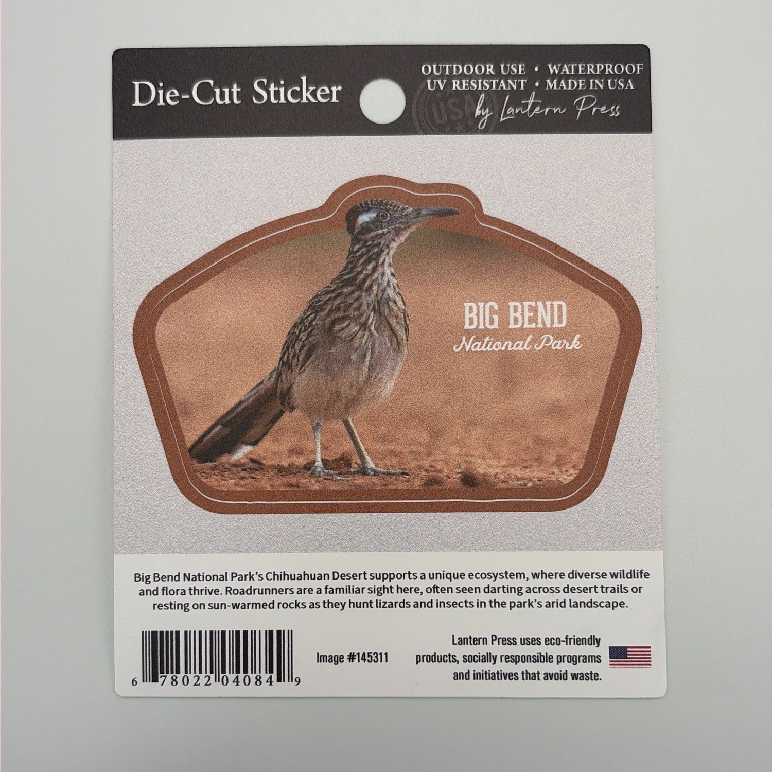 Roadrunner Photo Sticker