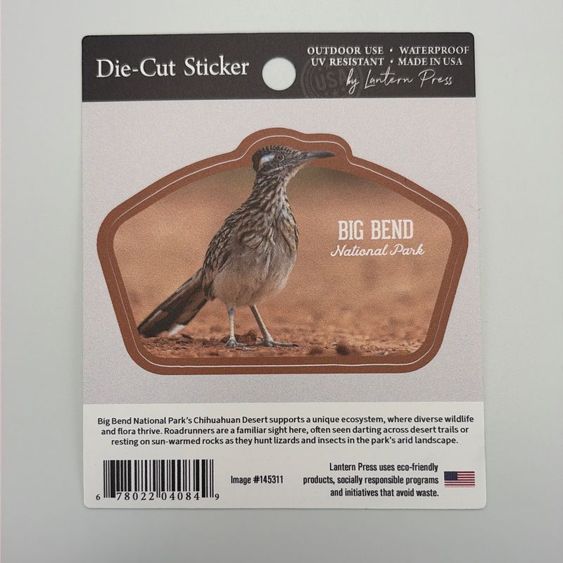 Roadrunner Photo Sticker