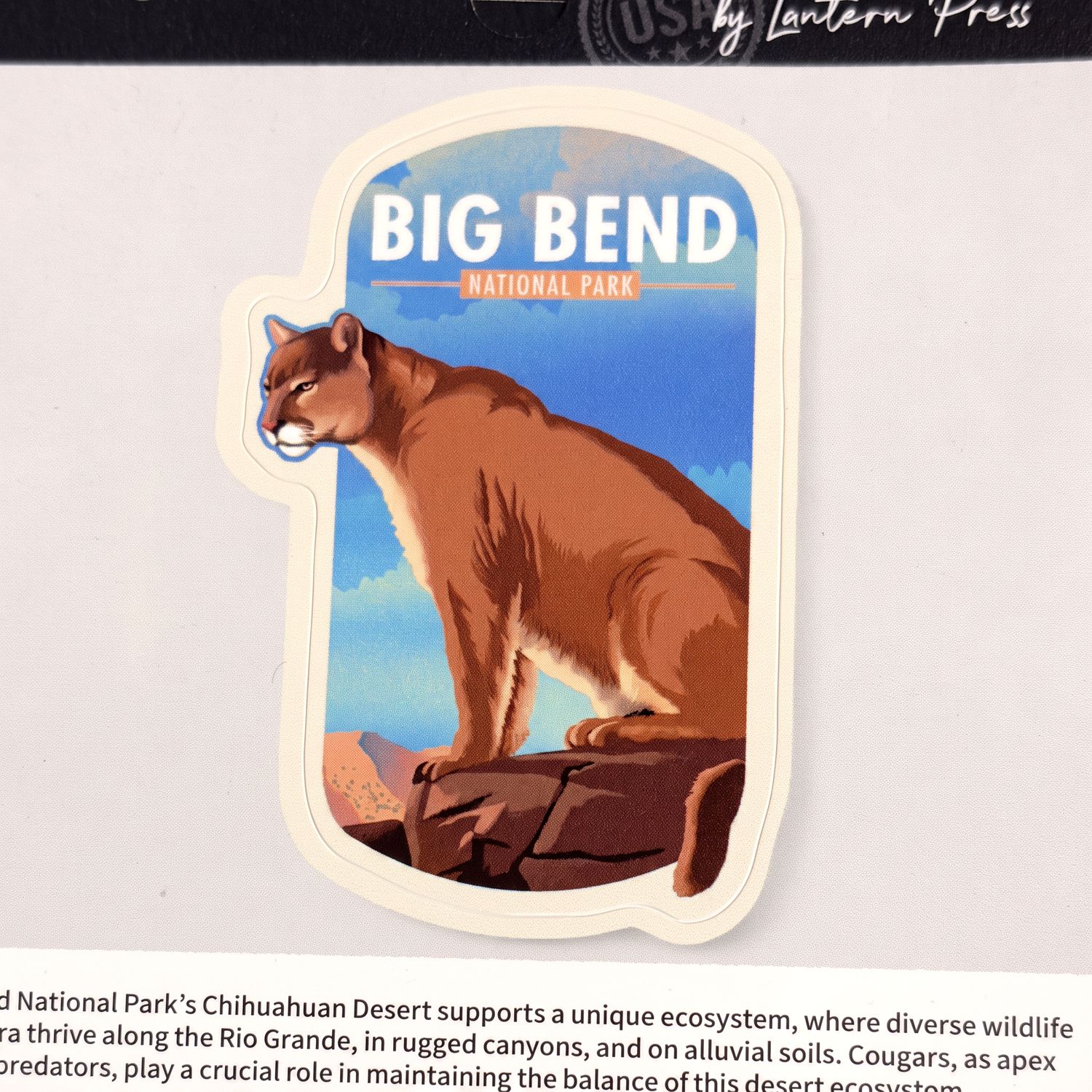 Mountain Lion Graphic Sticker