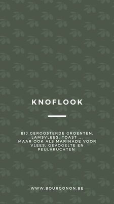 Knoflook