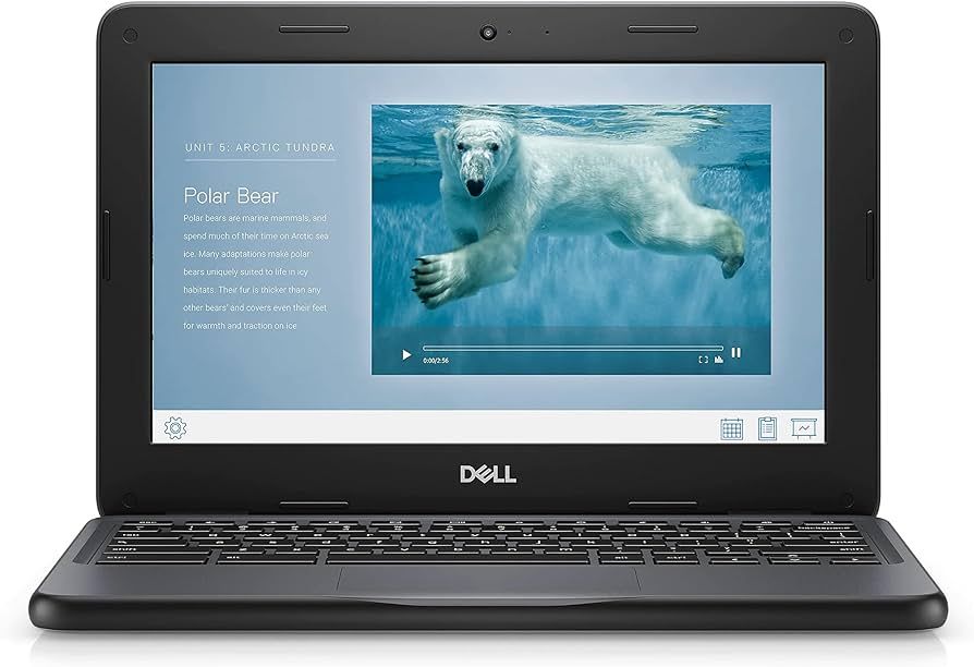 Dell Chromebook 3100