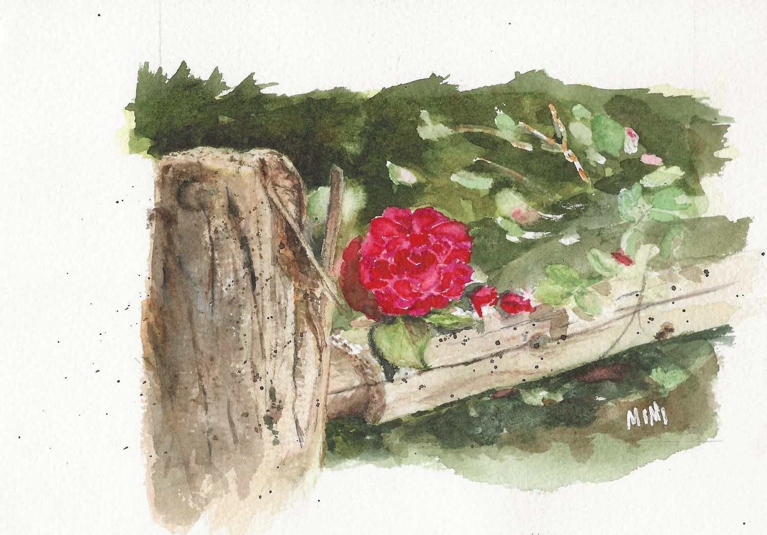 MW framed painting single rose