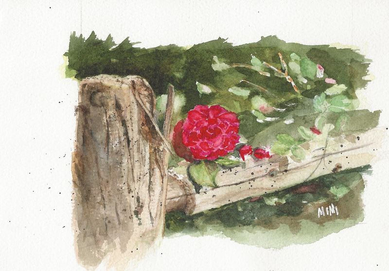 MW framed painting single rose