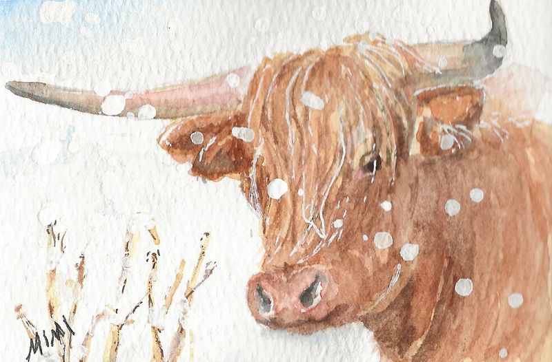 MW framed painting highland cow