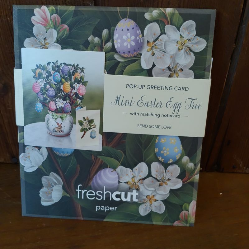 Freshcut Paper Pop Up Cards, Paper Flower Bouquet 3D Popup Greeting Cards with Note Card & Envelope, Birthday Card, Anniversary Card, Get Well Gifts for Women