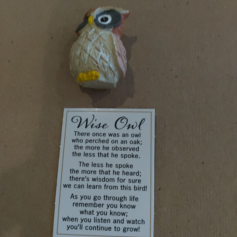Owl Wise