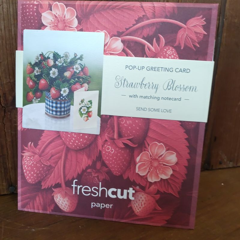 Freshcut Paper Pop Up Cards, Paper Flower Bouquet 3D PopUp Greeting Cards with Note Card & Envelope, Birthday Card, Anniversary Card, Get Well Gifts for Women