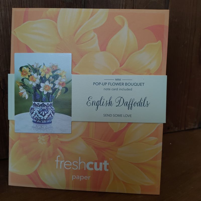 Freshcut Paper Pop Up Cards, Mini English Daffodil
