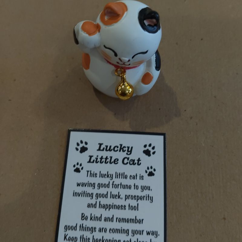 Cat Lucky Little