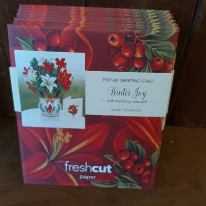 Freshcut Paper Pop Up Cards, Paper Flower Bouquet 3D PopUp Greeting Cards with Note Card & Envelope, Birthday Card, Anniversary Card, Get Well Gifts for Women