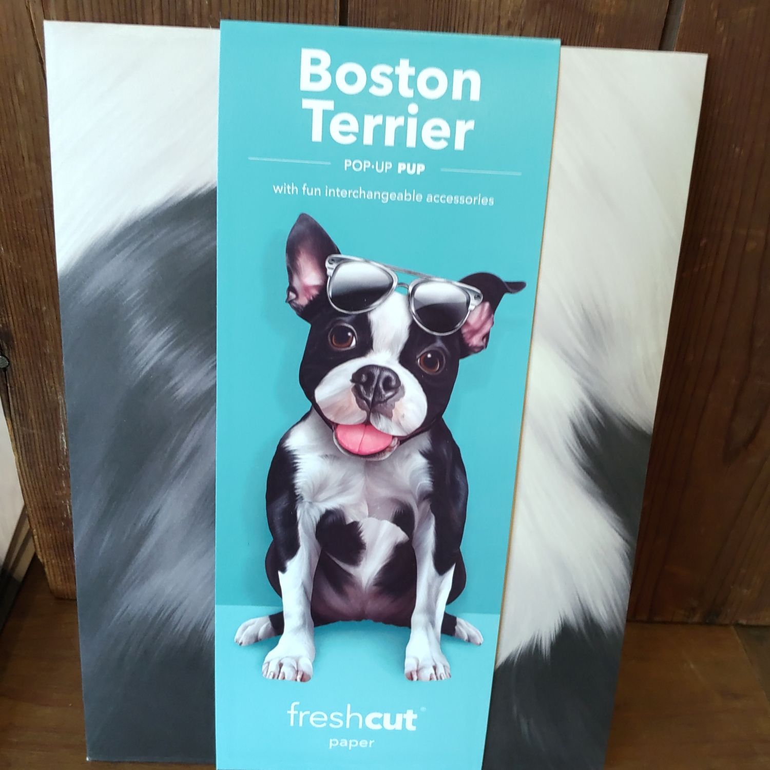 Freshcut Paper Pop Up Pet Cards, Gifts for Dog Lovers, Birthday Cards with Accessory Sheet, Note Card & Envelope, 3D Popup Greeting Cards