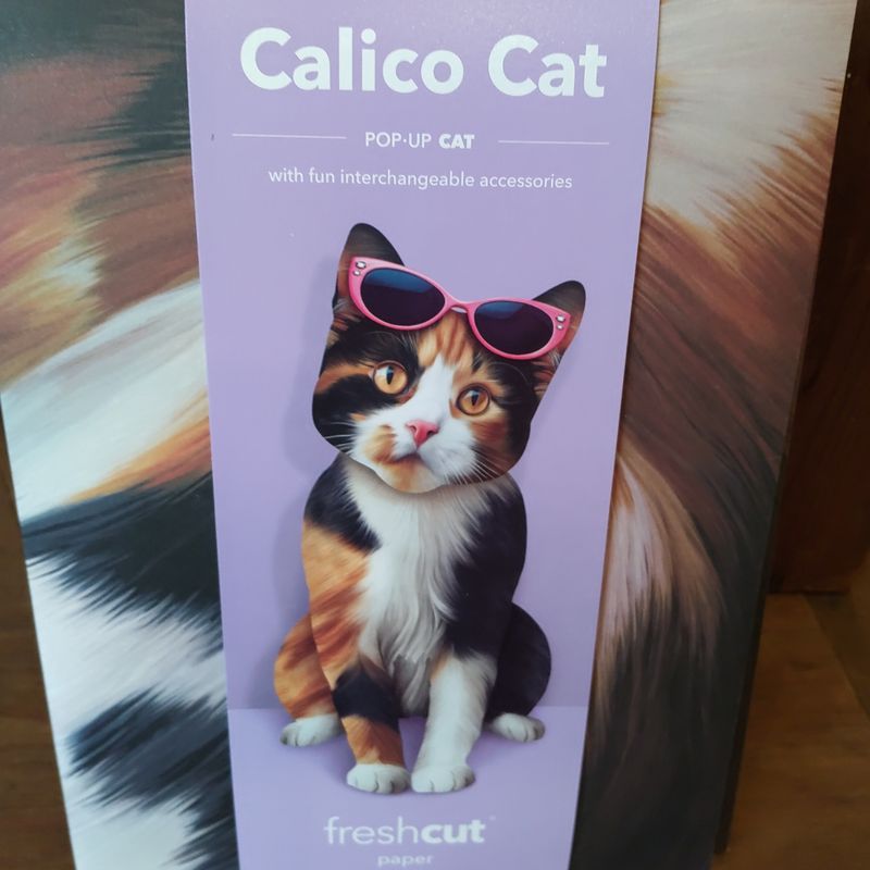 Freshcut Paper Calico Cat Pop-Up Greeting Card